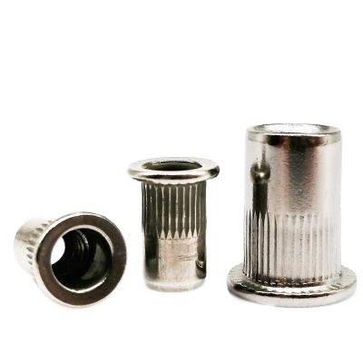 Rivet Nuts, M3–M12, 304 Stainless Steel, Carbon Steel or Aluminum, Flat Countersunk Head, 10/20 pcs (D Stainless Steel, 10 pcs M12)