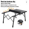 LoKori Portable Folding Aluminum Camping Table with Carrying Bag view 3