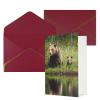 River Bear Mom Printed Greeting Cards with Envelopes, Dark Red view 1