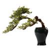 HASMI Artificial Bonsai Tree in Ceramic Pot view 1