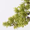 HASMI Artificial Bonsai Tree in Ceramic Pot view 3