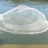 RAAMKA 5 m Net Diameter Cast Net, Nylon Fishing Net view 4