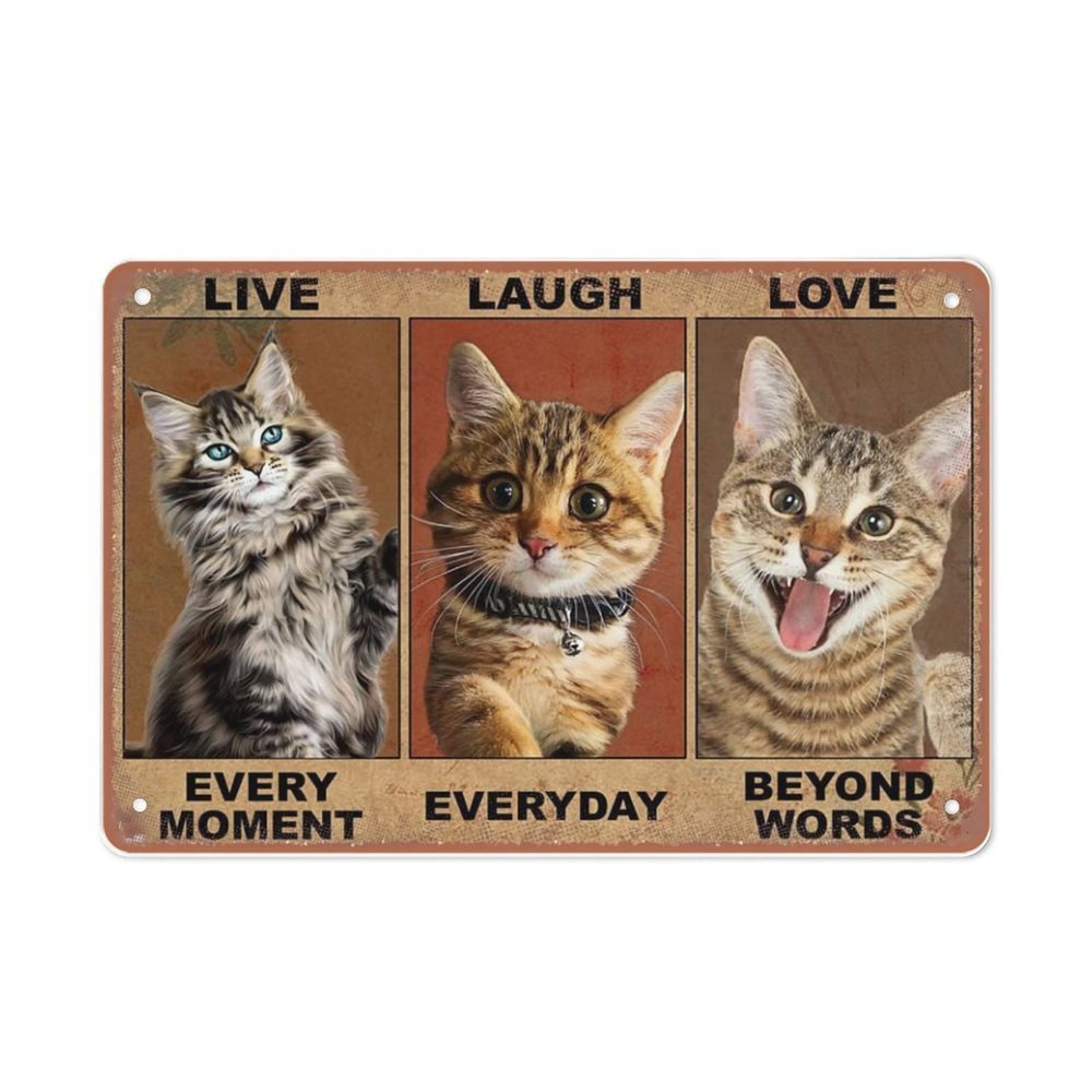 Cat Live Every Moment, Laugh Every Day, Love Beyond Words Metal Tin Sign, Wall Decor, 14 x 20 cm