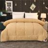 XHDZSW Sherpa Winter Quilt, Plush and Warm, Camel, 2 x 2.3 m (3.5 kg) view 2