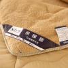 XHDZSW Sherpa Winter Quilt, Plush and Warm, Camel, 2 x 2.3 m (3.5 kg) view 3