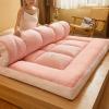 LXURY Japanese Thick Futon Mattress Tatami Mat Foldable Roll-Up Floor Mattress, 005, 120 × 200 cm view 1
