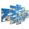 islandburner Canvas Wall Art, Flat Chamomile Flowers on Blue Background, 5-Piece Set JDXR-MFP view 1