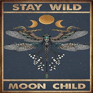 Stay Wild Moon Child Retro Metal Tin Sign, Vintage Aluminum Wall Decor, 8 x 12 in
