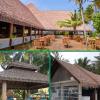 IMLAM Palm Thatch Roof Mat, 50 x 100 cm, Natural Reed Grass, Palm-Leaf Ceiling Covering, Weatherproof, Rainproof and Durable (0.5 x 1 m) view 2