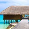 IMLAM Palm Thatch Roof Mat, 50 x 100 cm, Natural Reed Grass, Palm-Leaf Ceiling Covering, Weatherproof, Rainproof and Durable (0.5 x 1 m) view 3