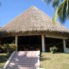 IMLAM Palm Thatch Roof Mat, 50 x 100 cm, Natural Reed Grass, Palm-Leaf Ceiling Covering, Weatherproof, Rainproof and Durable (0.5 x 1 m) view 4