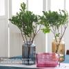 OFFIDIX Glass Vase, Modern Minimalist Column Vase with Vertical Stripes, Rose Red view 4