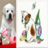 RTO Cross-Stitch Kit for Adults, Flowers, Animals, After All, She Flew Away, 9.5 x 10.5 cm, 14 CT view 2
