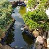 Black HDPE Pond Liner 0.12 mm, Size 8 view 4
