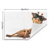 Table Mats, Set of 6, 3D Giraffe, Washable, 30 x 45 cm view 3