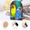 Love Birds Parrots Sitting Together Wooden Bookends view 4