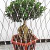 DTVEW 304 Stainless Steel Cable Mesh Bird Netting, 2 mm Flexible Mesh, 2 x 9 m view 2