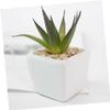 Happyyami Mini Artificial Succulent in Ceramic Pot view 2
