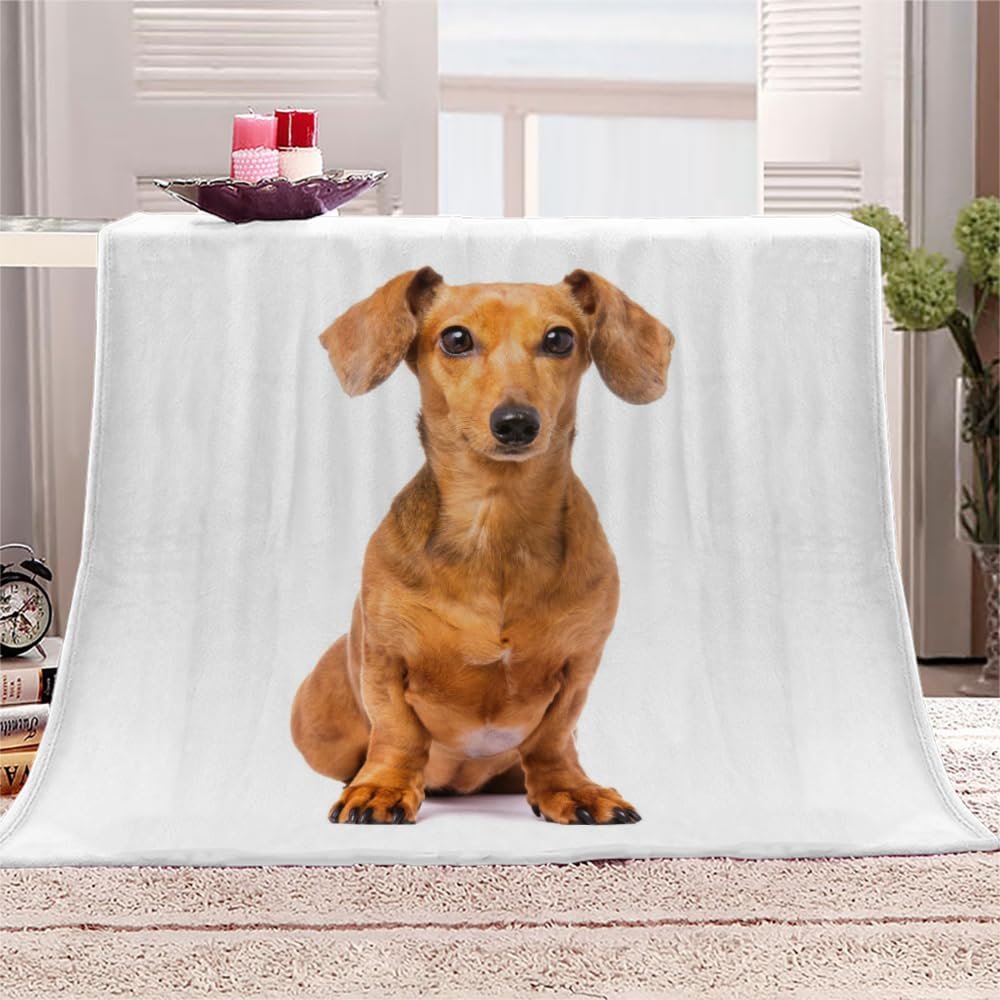 AKATIE Dachshund Flannel Fleece Blanket, 200 x 200 cm, Soft Throw for Bed or Sofa
