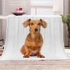 AKATIE Dachshund Flannel Fleece Blanket, 200 x 200 cm, Soft Throw for Bed or Sofa view 1