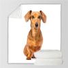 AKATIE Dachshund Flannel Fleece Blanket, 200 x 200 cm, Soft Throw for Bed or Sofa view 2