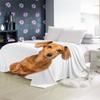 AKATIE Dachshund Flannel Fleece Blanket, 200 x 200 cm, Soft Throw for Bed or Sofa view 4