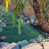 High-Quality Pond Liner, Pool Liner, Polyethylene Film, Greenhouse Film—Frost-Resistant, Waterproof, Tear-Resistant, for Fish Ponds, Streams, Aquaculture, Fountains, and Water Gardens (Size: 5 x 8 m / 16.4 x 26.2 ft) view 4