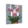 Blooming Orchids 2-Way Toggle Switch Decorative Wall Plate with 4 Painted Screws for Light Switches, Dimmers, and Outlets view 2