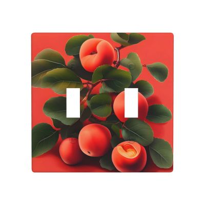 2-Gang Toggle Switch Decorative Wall Plate, Red Apricot