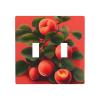 2-Gang Toggle Switch Decorative Wall Plate, Red Apricot view 1