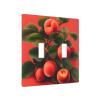 2-Gang Toggle Switch Decorative Wall Plate, Red Apricot view 2