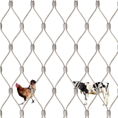 NEPHRA Stainless Steel Mesh Safety Net, Garden Fence, 0.8 m x 6 m