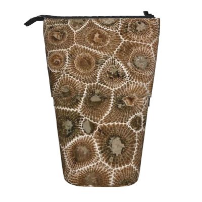 AABSTBFM Red Rose Psd Expandable Vertical Pencil Case, Multipurpose Pencil and Makeup Bag for School, Office, and Travel, Petoskey Stone, One Size