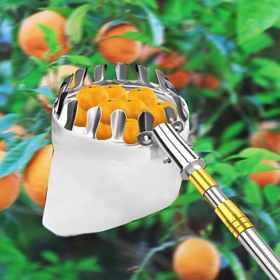 LekLai Fruit Picker with Pole and Basket, Stainless Steel, 2.1 m / 7 ft