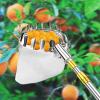 LekLai Fruit Picker with Pole and Basket, Stainless Steel, 2.1 m / 7 ft view 1
