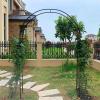 GueTTO Metal Rose Arch, 180 cm W x 220 cm H, Stainless Steel view 3