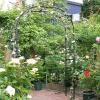 GueTTO Metal Rose Arch, 180 cm W x 220 cm H, Stainless Steel view 4