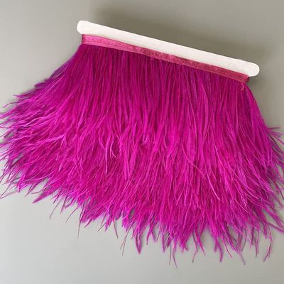 DIRKES 6 m, 13–18 cm, Multicolor, Genuine Ostrich Feathers, Decorative Trim for Dresses, Clothing, Décor, Sewing and Crafts