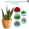 PECZEKO Glossy Plastic Planter, Decorative Pot for Large and Small Plants, 2-Pack, Orange, 14 cm view 4