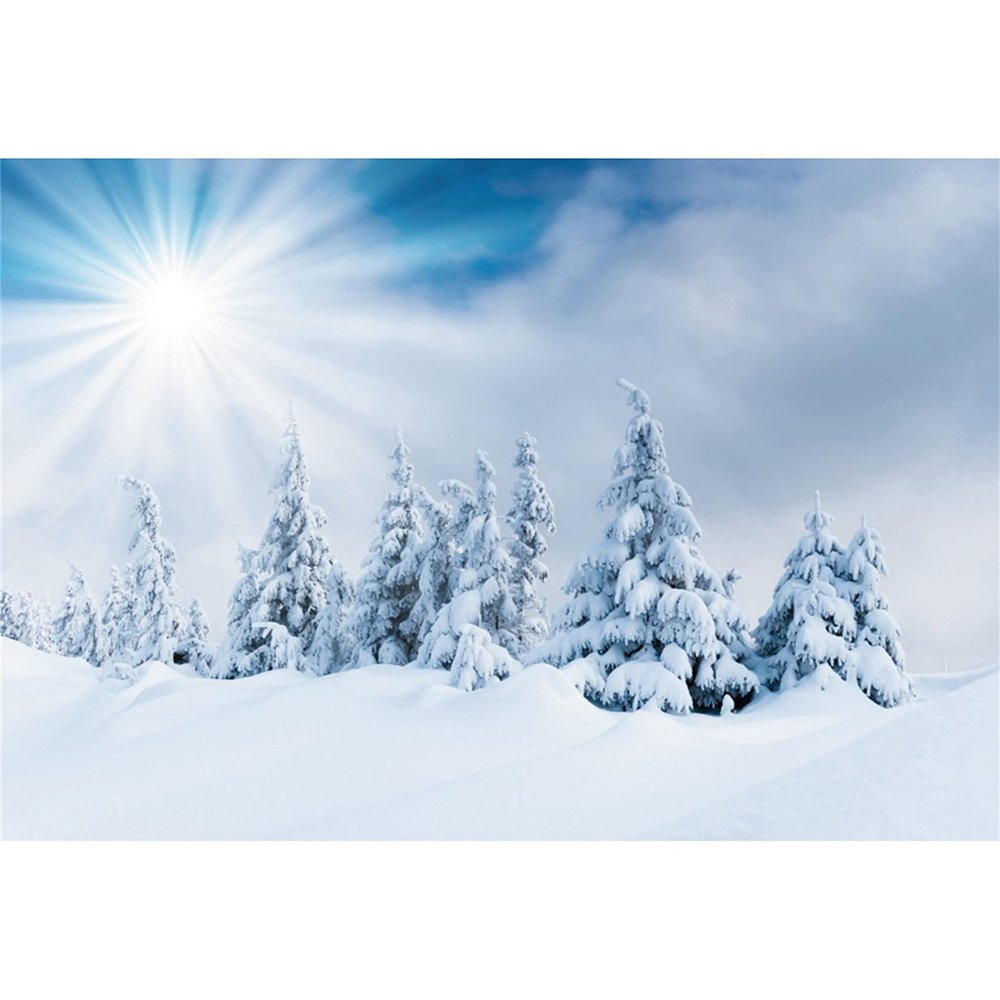 Winter Snow Photography Backdrop, 300 x 200 cm, 3D Forest