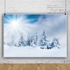Winter Snow Photography Backdrop, 300 x 200 cm, 3D Forest view 3