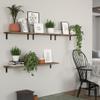 DOLLFIO Floating Wall Shelves, Decor and Storage, Rustic Brown, 41 cm, Set of 5 view 4