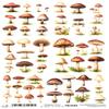 Josys Bastelmärchen A4 Rice Paper, Straw Silk Decoupage, Mushrooms, Forest Mushrooms, Fly Agaric RE4449 view 1