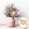 SOLUSTRE Plant Specimen Holder, Portable and Easy to Store for Classroom Use view 4