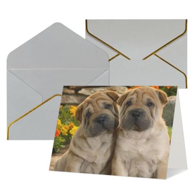 QQLADY Funny Dog Greeting Cards with Envelopes, Blank, for All Occasions
