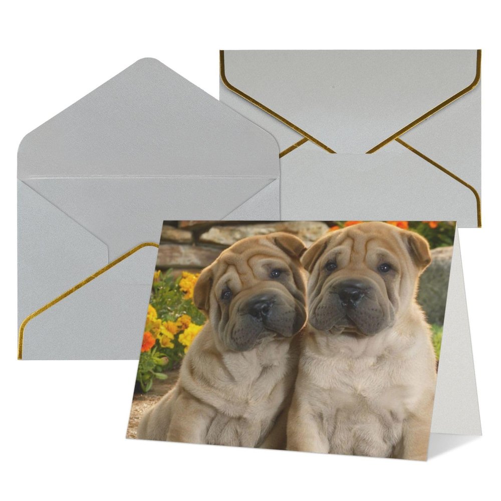 QQLADY Funny Dog Greeting Cards with Envelopes, Blank, for All Occasions