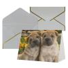 QQLADY Funny Dog Greeting Cards with Envelopes, Blank, for All Occasions view 1