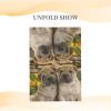 QQLADY Funny Dog Greeting Cards with Envelopes, Blank, for All Occasions view 2