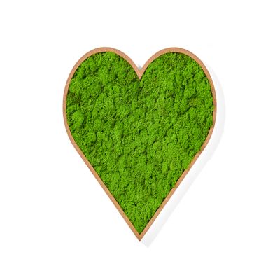 WANDMAGIE Heart Moss Wall Art with Frame, Light Green, 50 x 54 cm