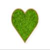 WANDMAGIE Heart Moss Wall Art with Frame, Light Green, 50 x 54 cm view 1